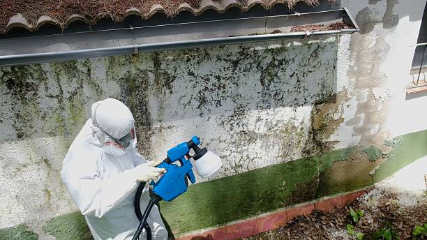 Top rated local Hvac And Air Duct Mold Remediation specialists in Troutdale, OR
